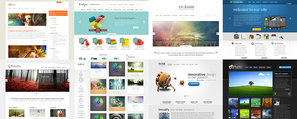 Premium WordPress Themes